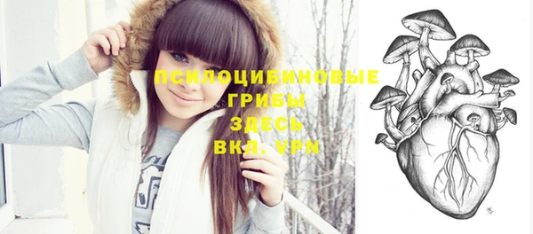 крисы Горно-Алтайск