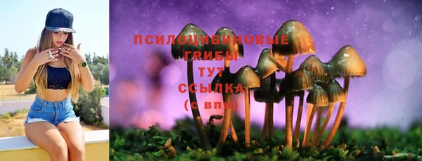 MESCALINE Вязники